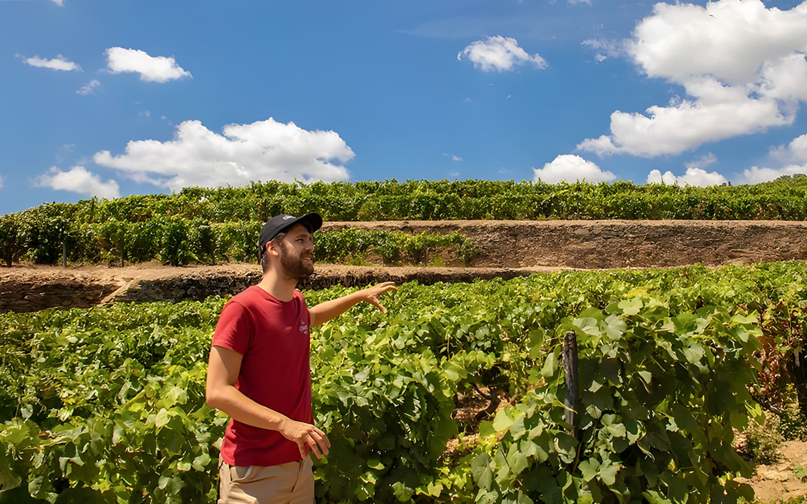 Private Douro Valley Guided Tour with 1-Hour Pinhão Cruise, Traditional Lunch & Wine Tastings tickets in Porto - Activities | TickYourList