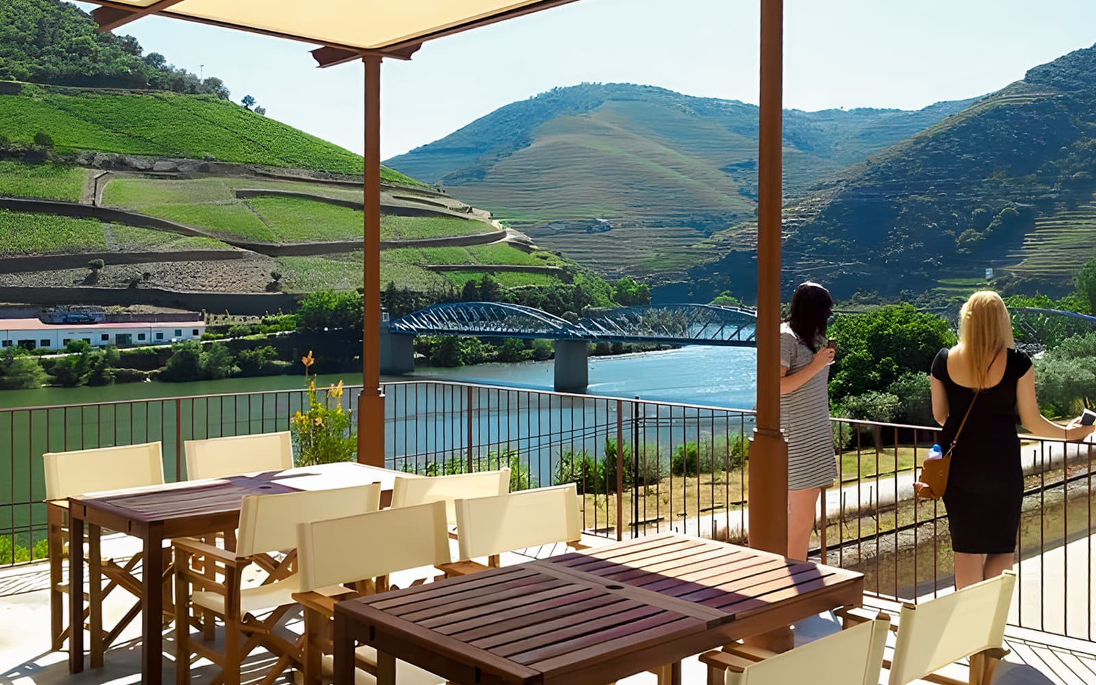 Private Douro Valley Guided Tour with 1-Hour Pinhão Cruise, Traditional Lunch & Wine Tastings tickets in Porto - Highlights | TickYourList