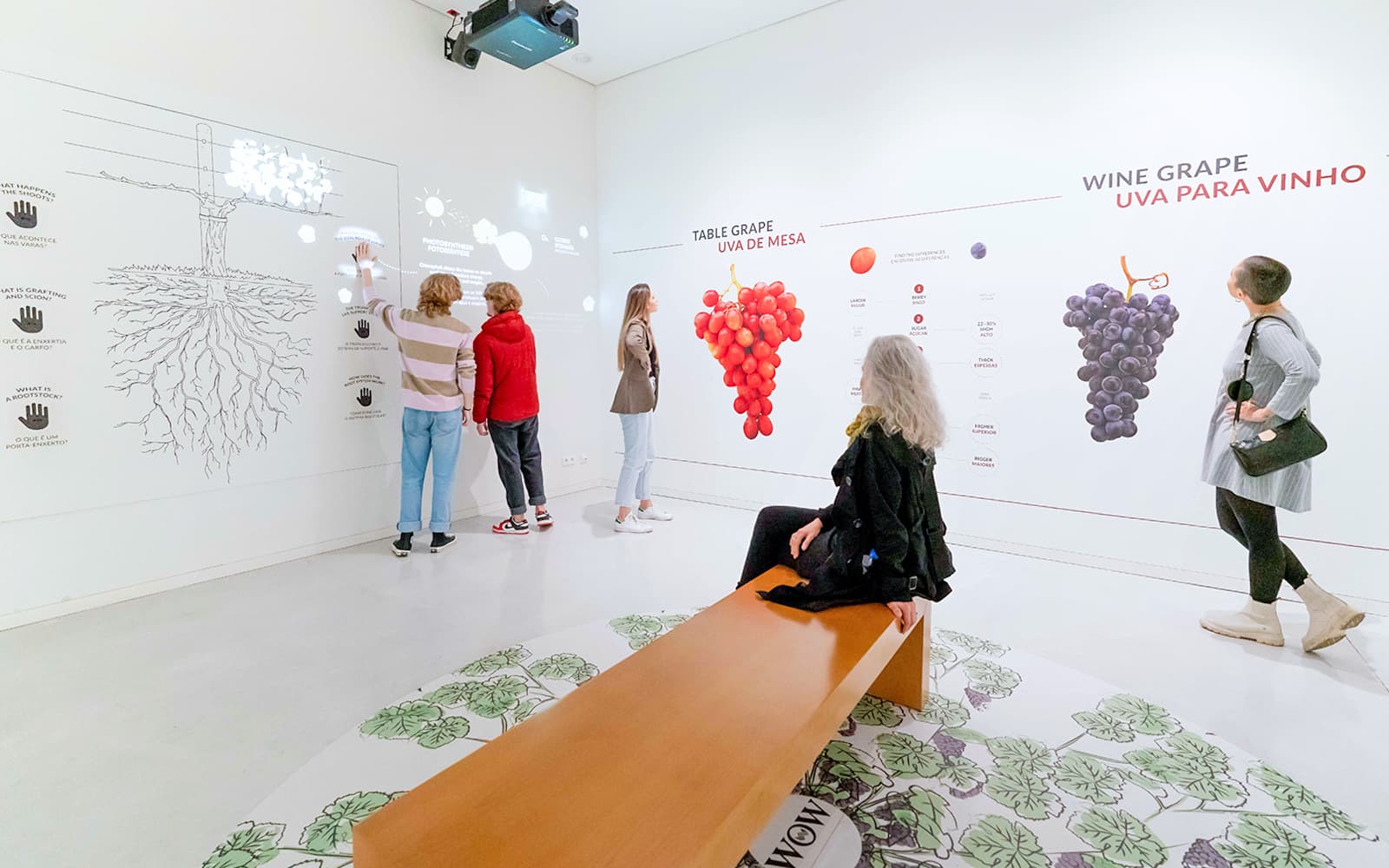 The Wine Experience Museum Tickets with Tasting Session