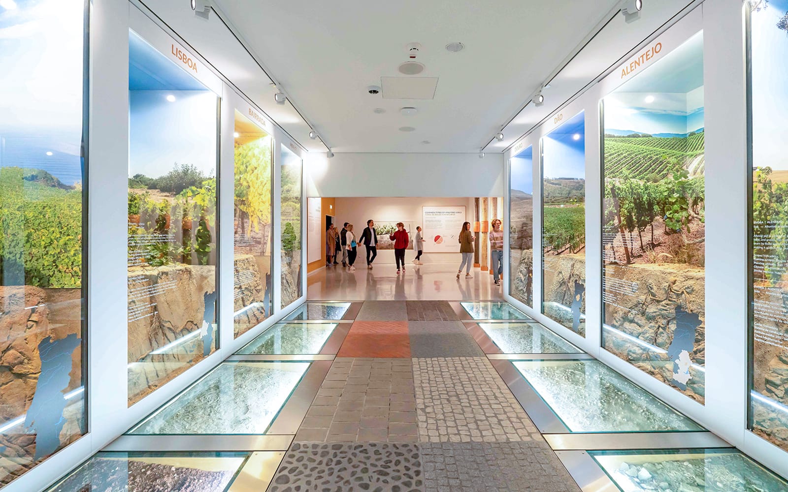 The Wine Experience Museum Tickets with Tasting Session in Porto - Activities | TickYourList