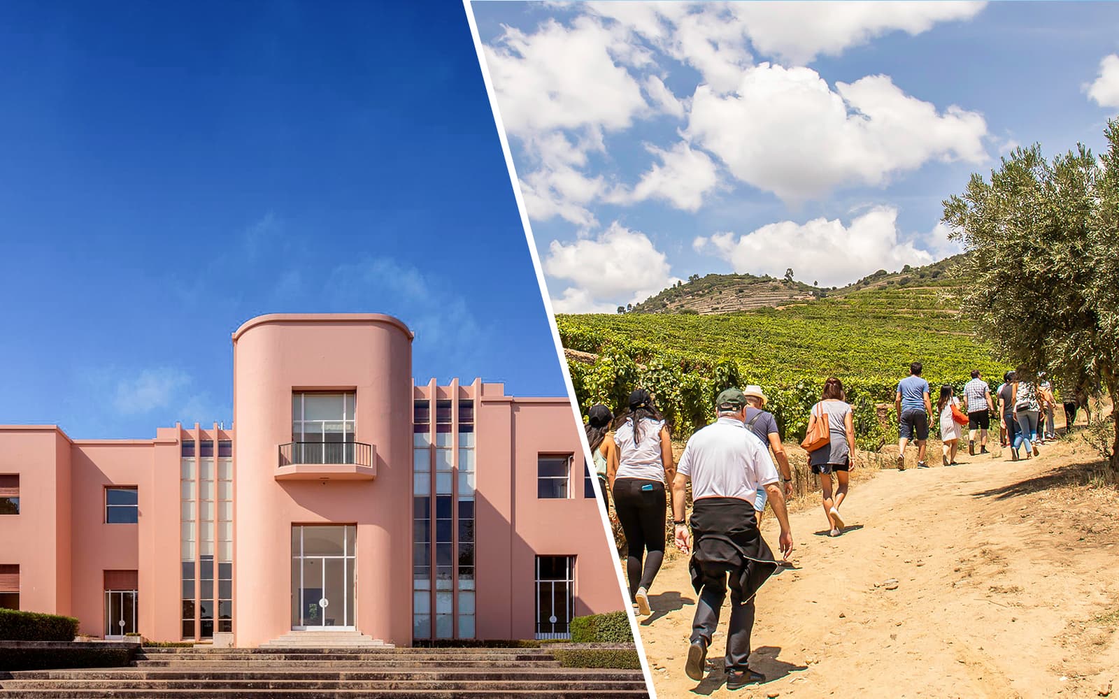 Combo (Save 10%): Serralves Foundation Tickets + Douro Valley Tour
