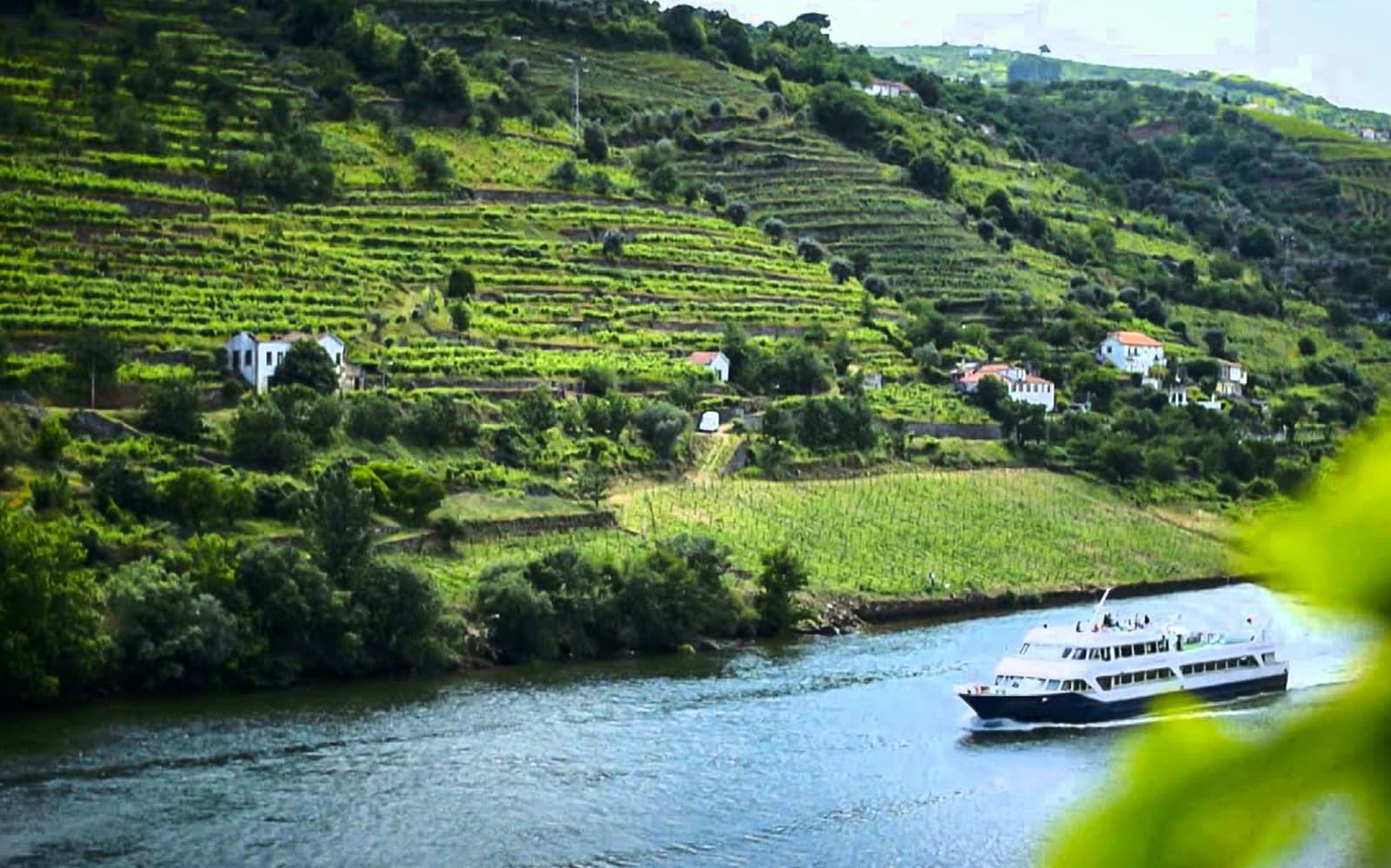 From Porto: Douro Valley Full-Day Trip with Régua Cruise and Lunch