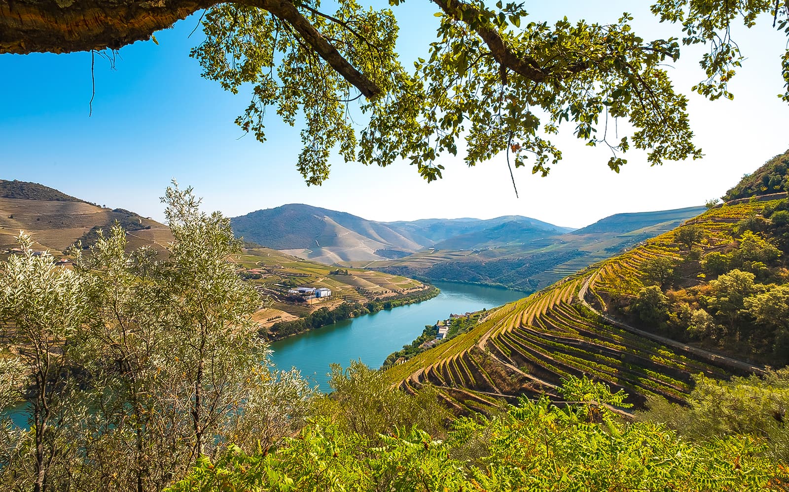 From Porto: Douro Valley Full-Day Trip with Régua Cruise and Lunch tickets in Porto - Highlights | TickYourList