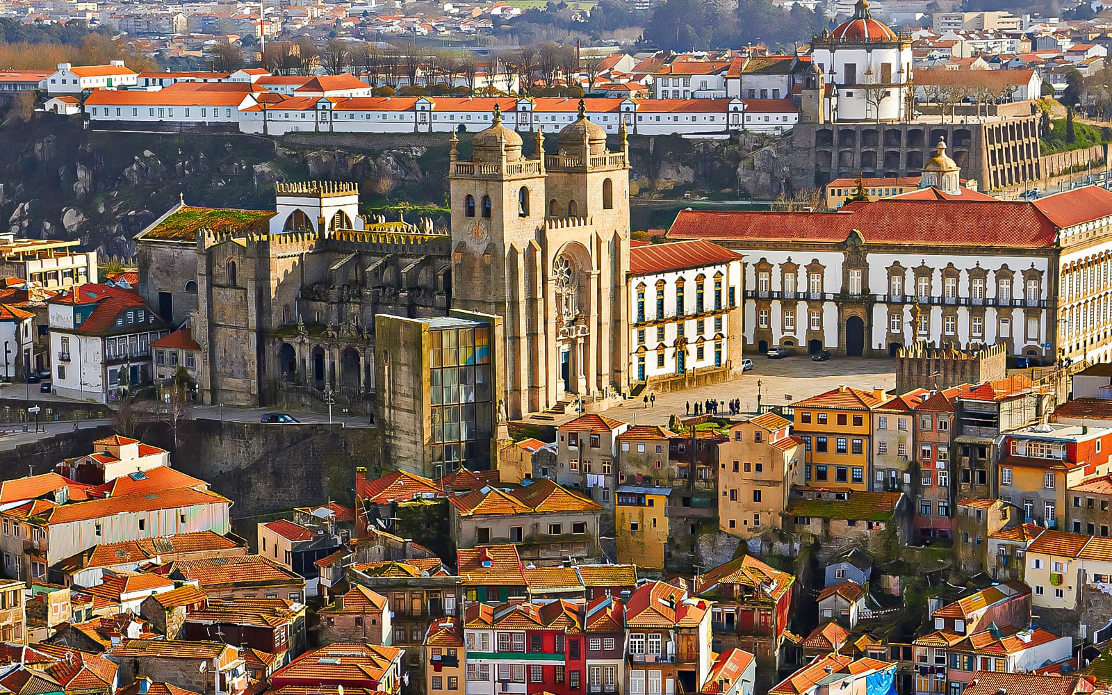 Porto City Full-Day Tour with Local Blends Tasting