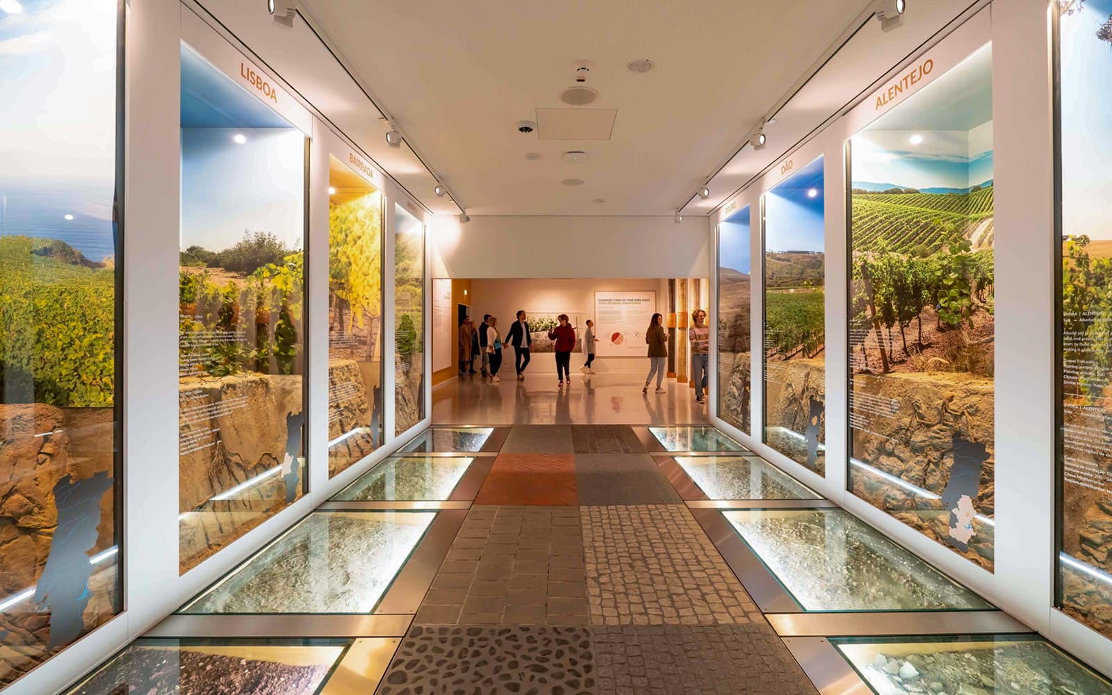 Taylor's Port Self-Guided Audio Tour & Tasting Experience