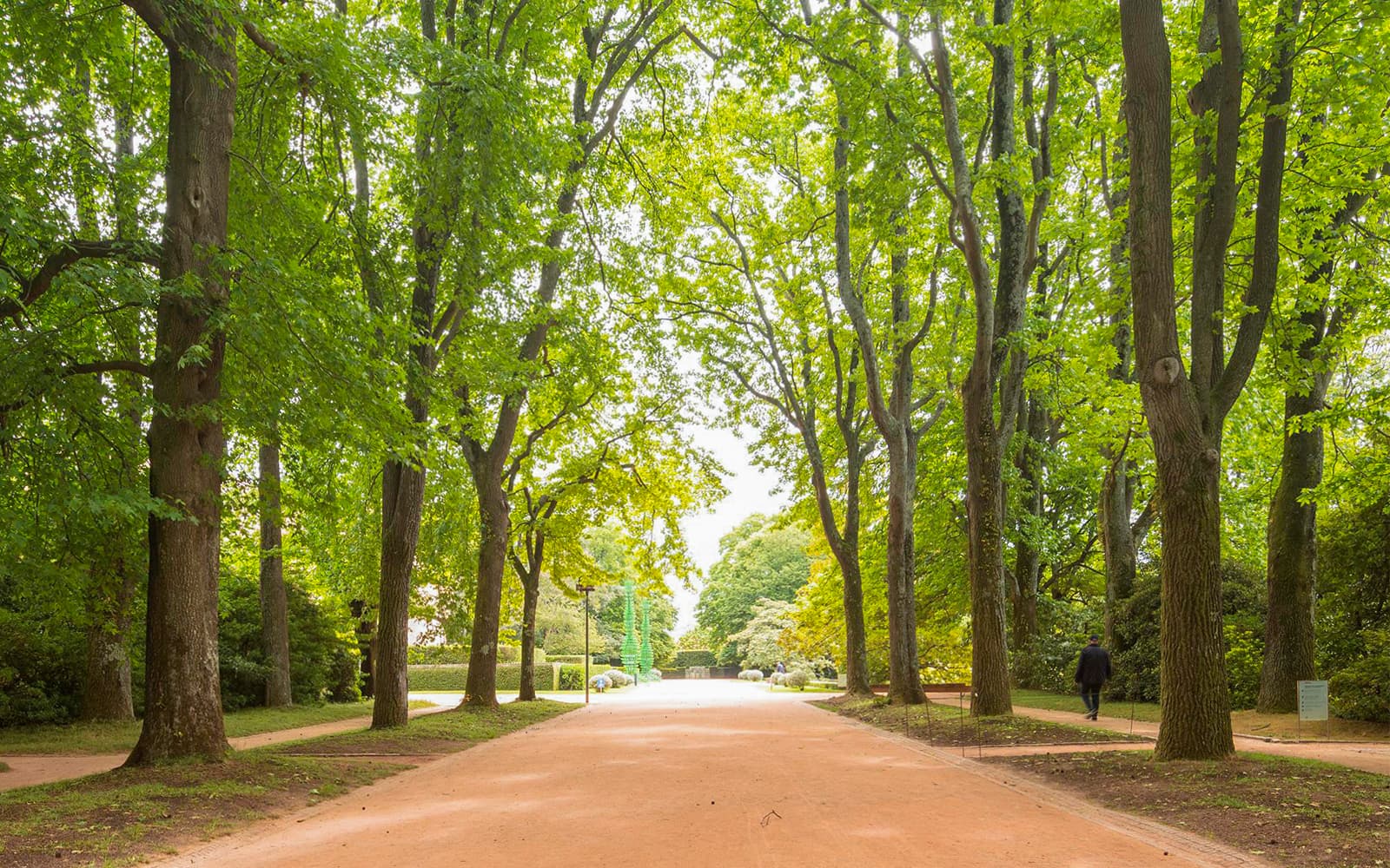 Combo: Tickets to Serralves Foundation + Hop-On Hop-Off Porto Tour in Porto - Activities | TickYourList