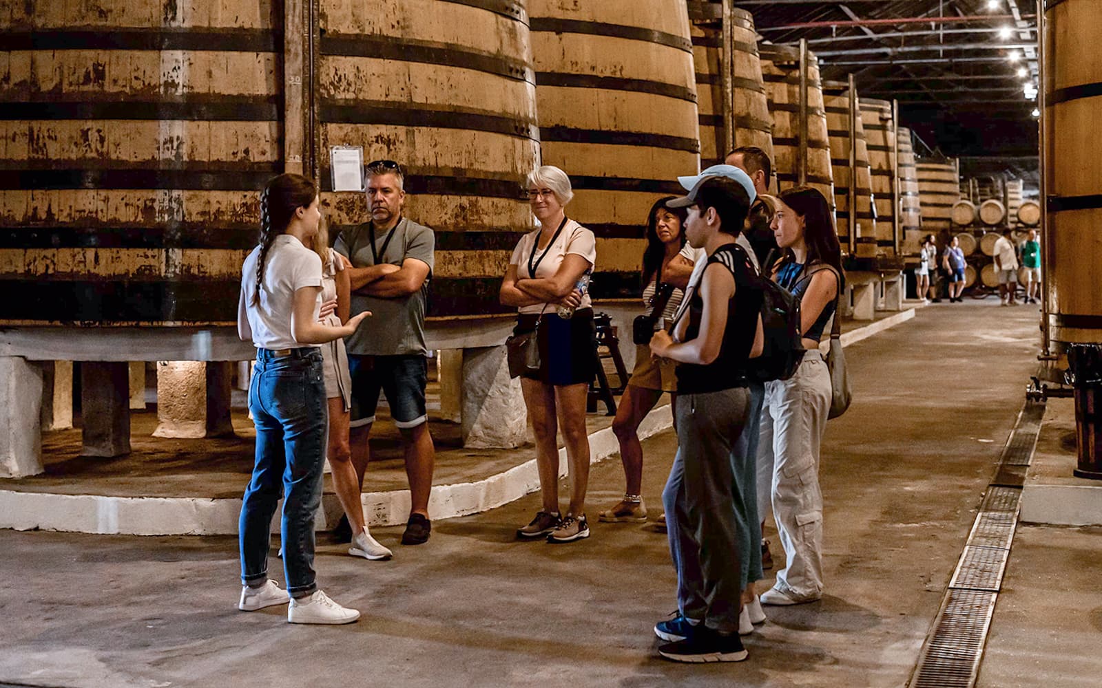 Real Companhia Velha Guided Tour with Wine Tasting
