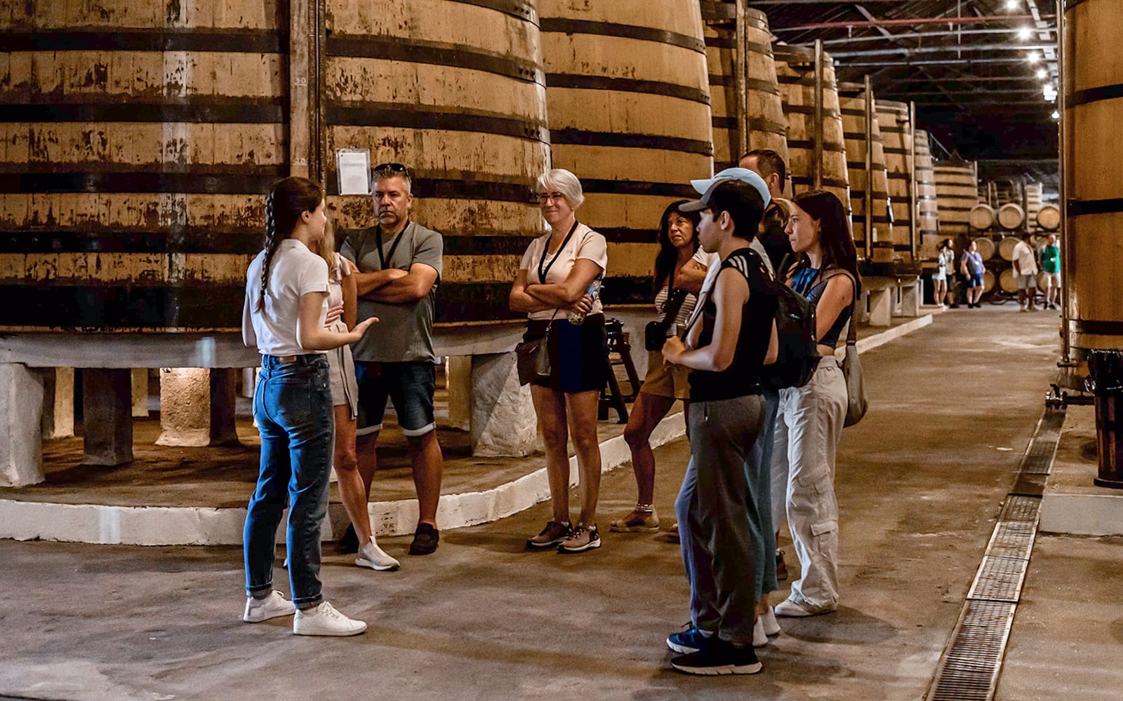 Real Companhia Velha Guided Tour with Wine Tasting experience tickets in Porto | TickYourList