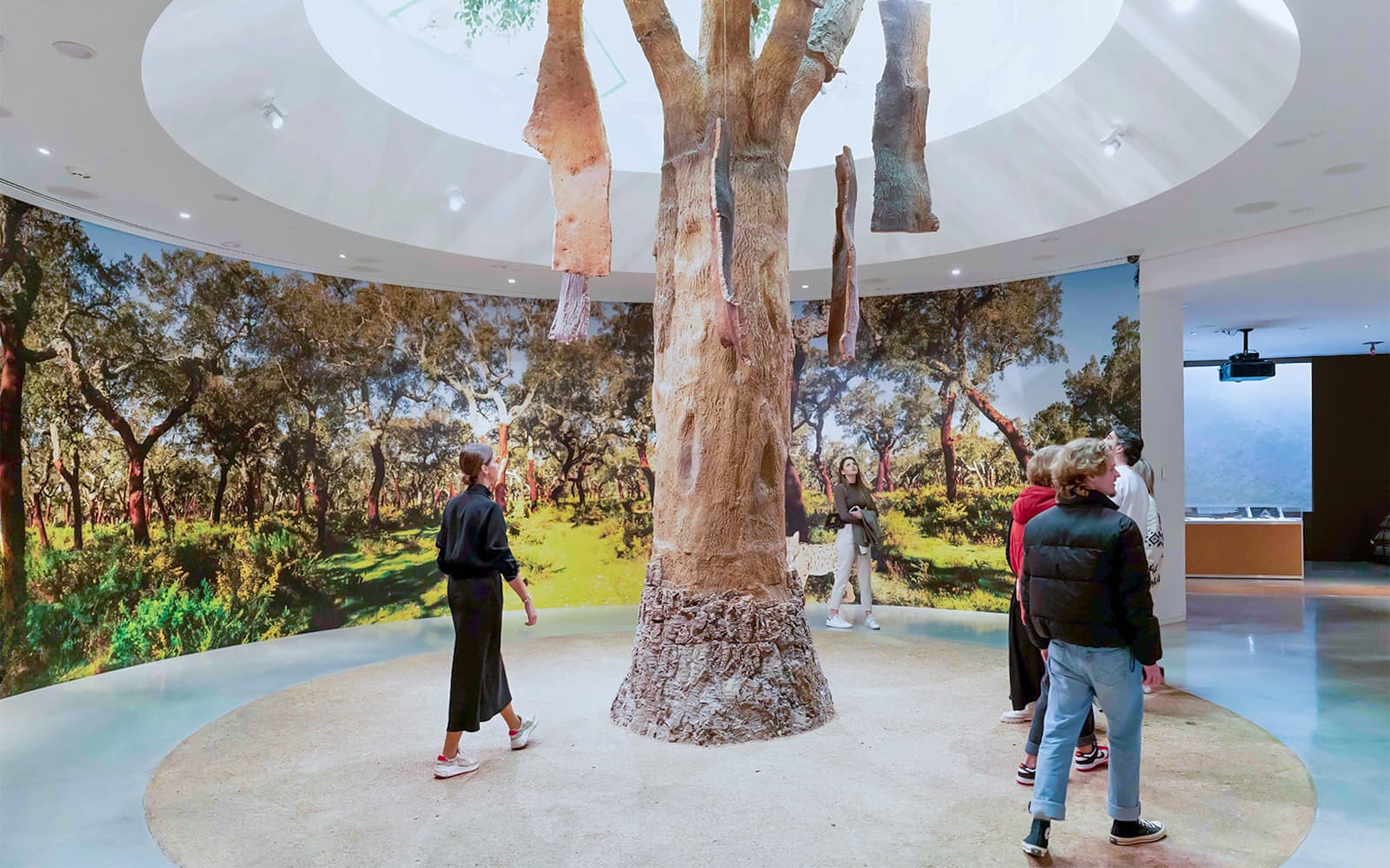 WOW Porto Museum Combo: Pick 2, 3 or 5 Experiences
