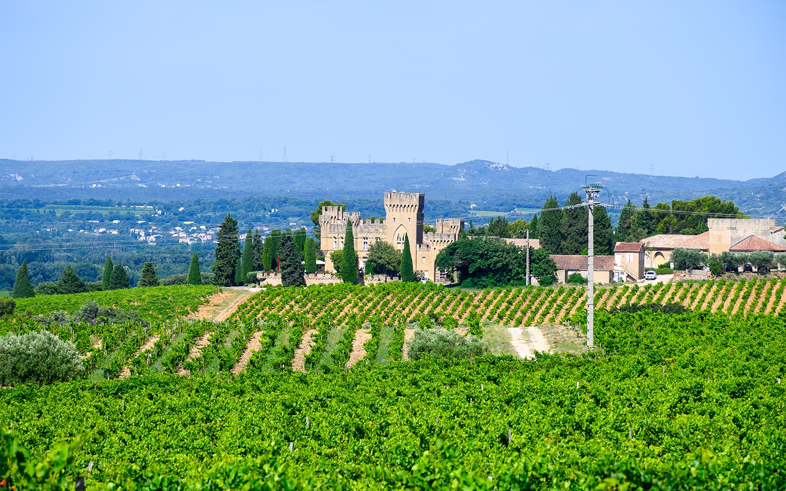 From Avignon: Wine Tour to Châteauneuf-du-Pape tickets in Provence - Attractions | TickYourList