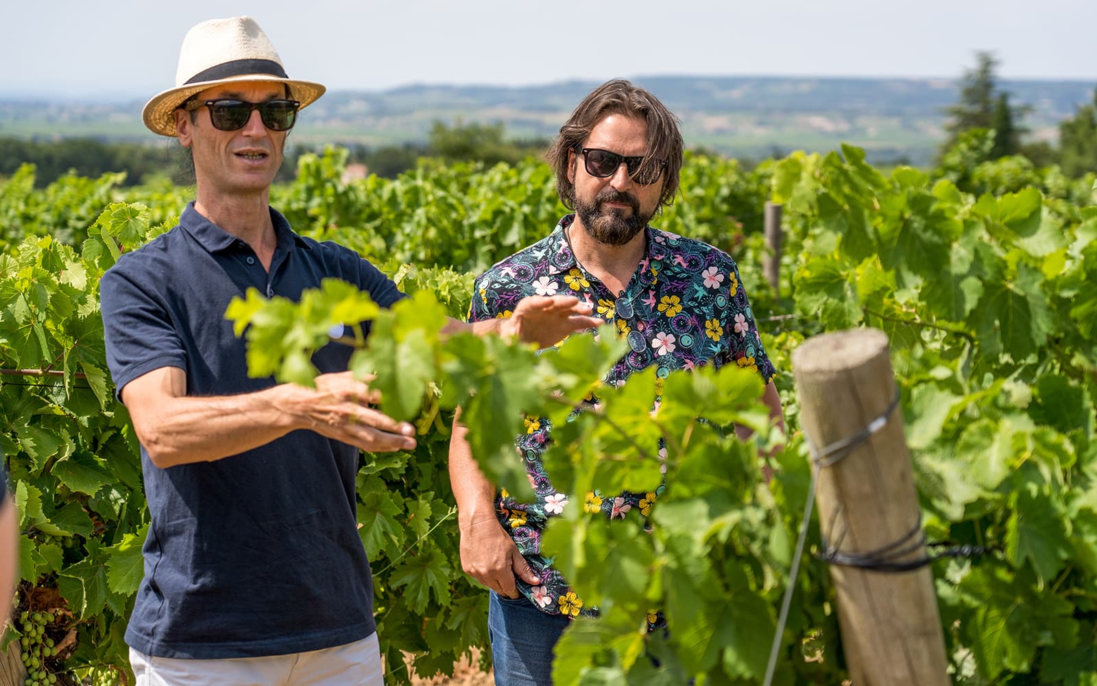 From Avignon: Wine Tour to Châteauneuf-du-Pape tickets in Provence - Activities | TickYourList