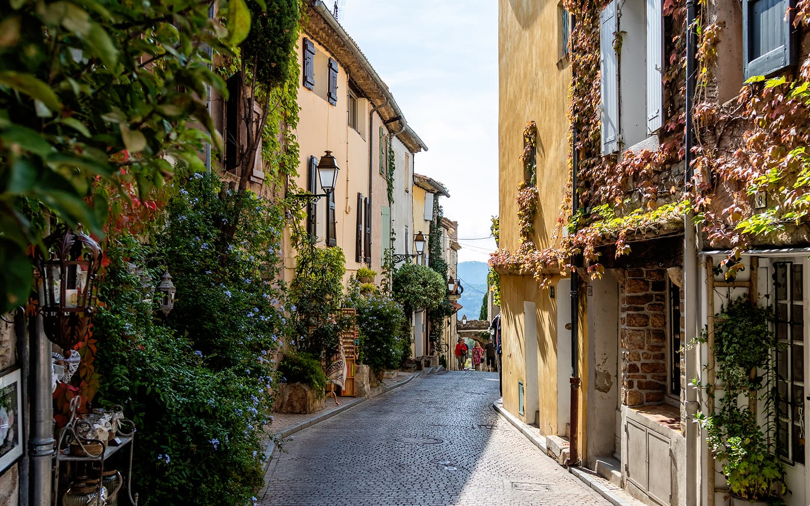 From Marseille: Full-Day Wine Tasting Tour of Bandol & Cassis tickets in Provence - Highlights | TickYourList