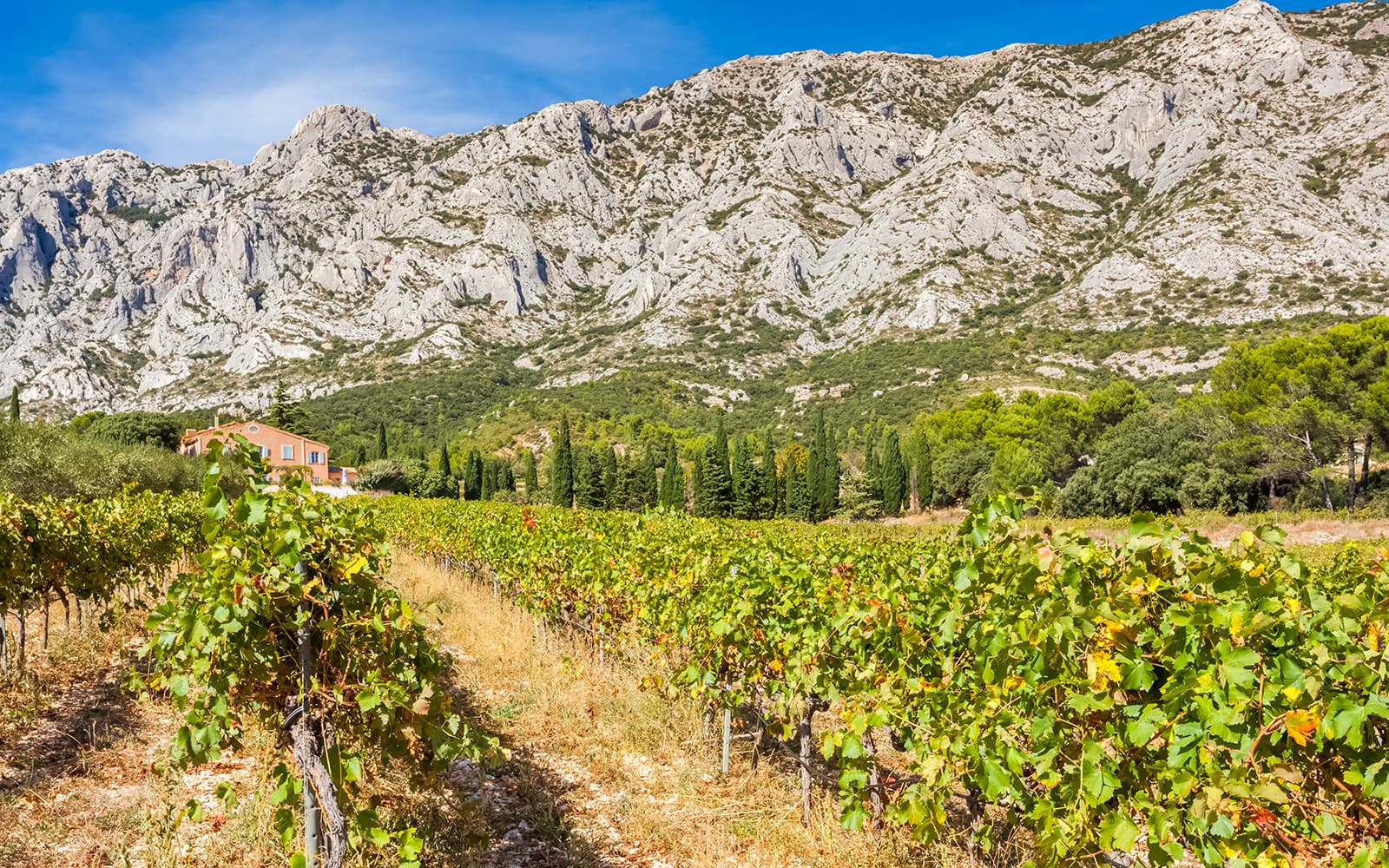 From Aix-En-Provence: Half-Day Wine Tasting Tour tickets in Provence - Attractions | TickYourList