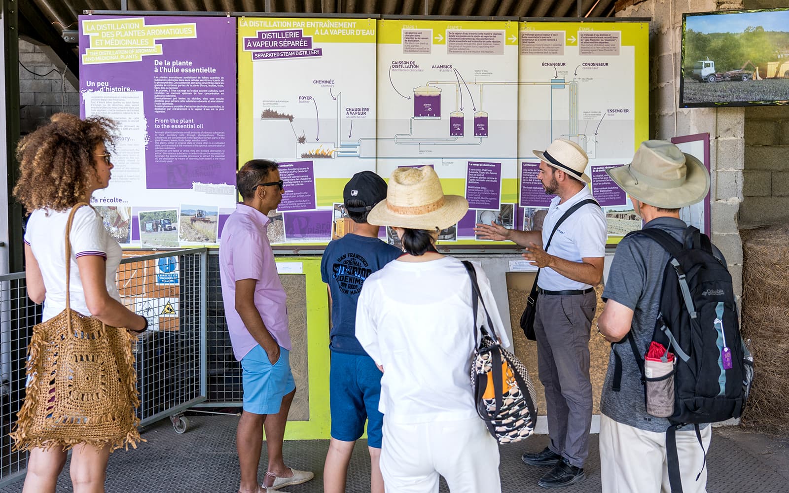 From Aix-En-Provence: Lavender Fields Full-Day Guided Tour tickets in Provence - Features | TickYourList