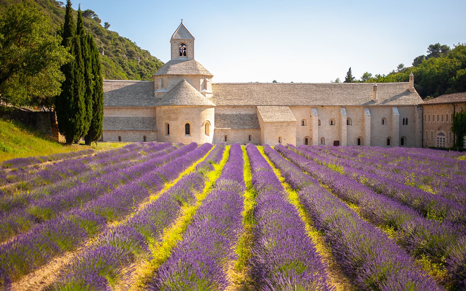 From Avignon: Full-Day Tour of Lavender Fields in Provence tickets in Provence - Features | TickYourList