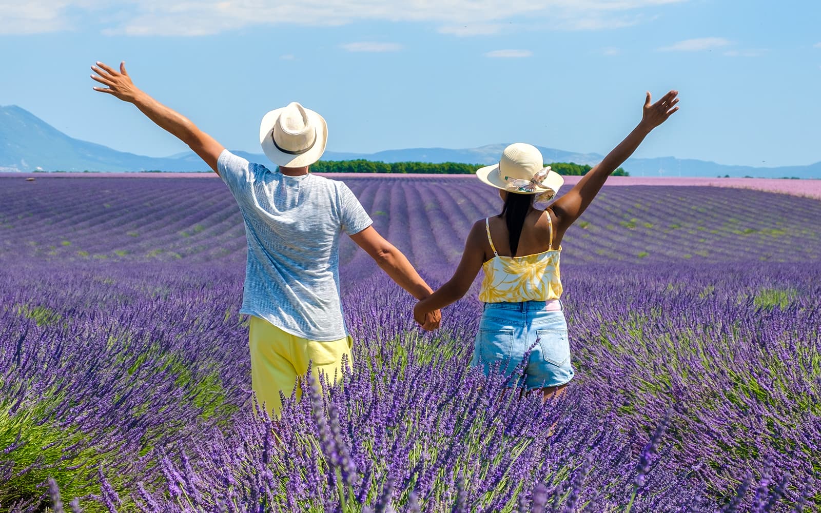 From Aix-En-Provence: Lavender Fields Tour tickets in Provence - Activities | TickYourList