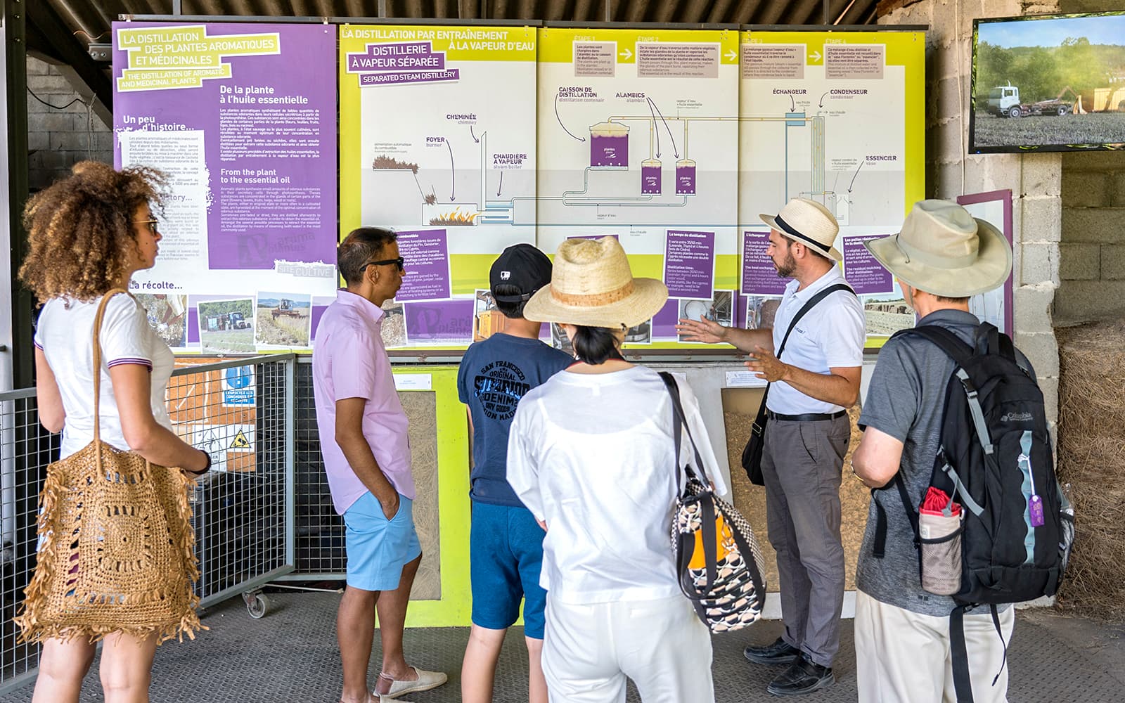 From Marseille: Lavender Fields Tour tickets in Provence - Highlights | TickYourList
