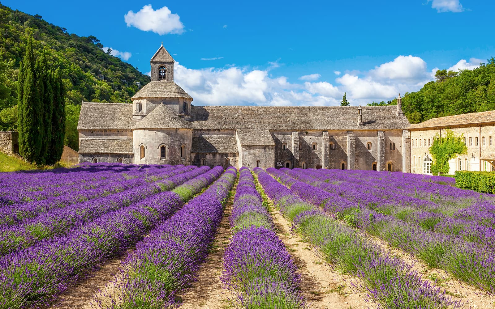 From Avignon: Luberon Lavender Morning or Afternoon Tour tickets in Provence - Activities | TickYourList