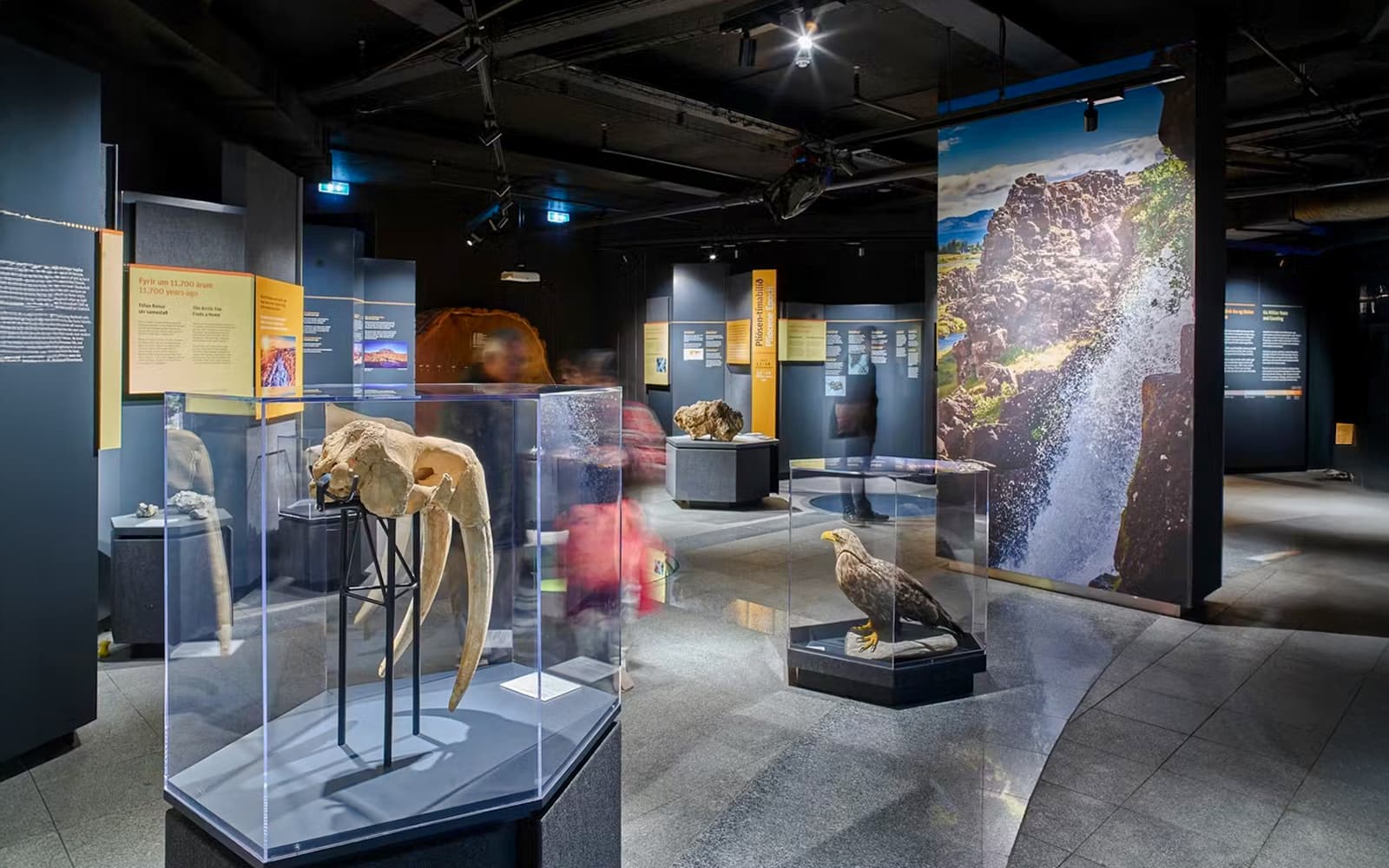 Tickets to Perlan Museum – Wonders of Iceland in Reykjavik - Highlights | TickYourList