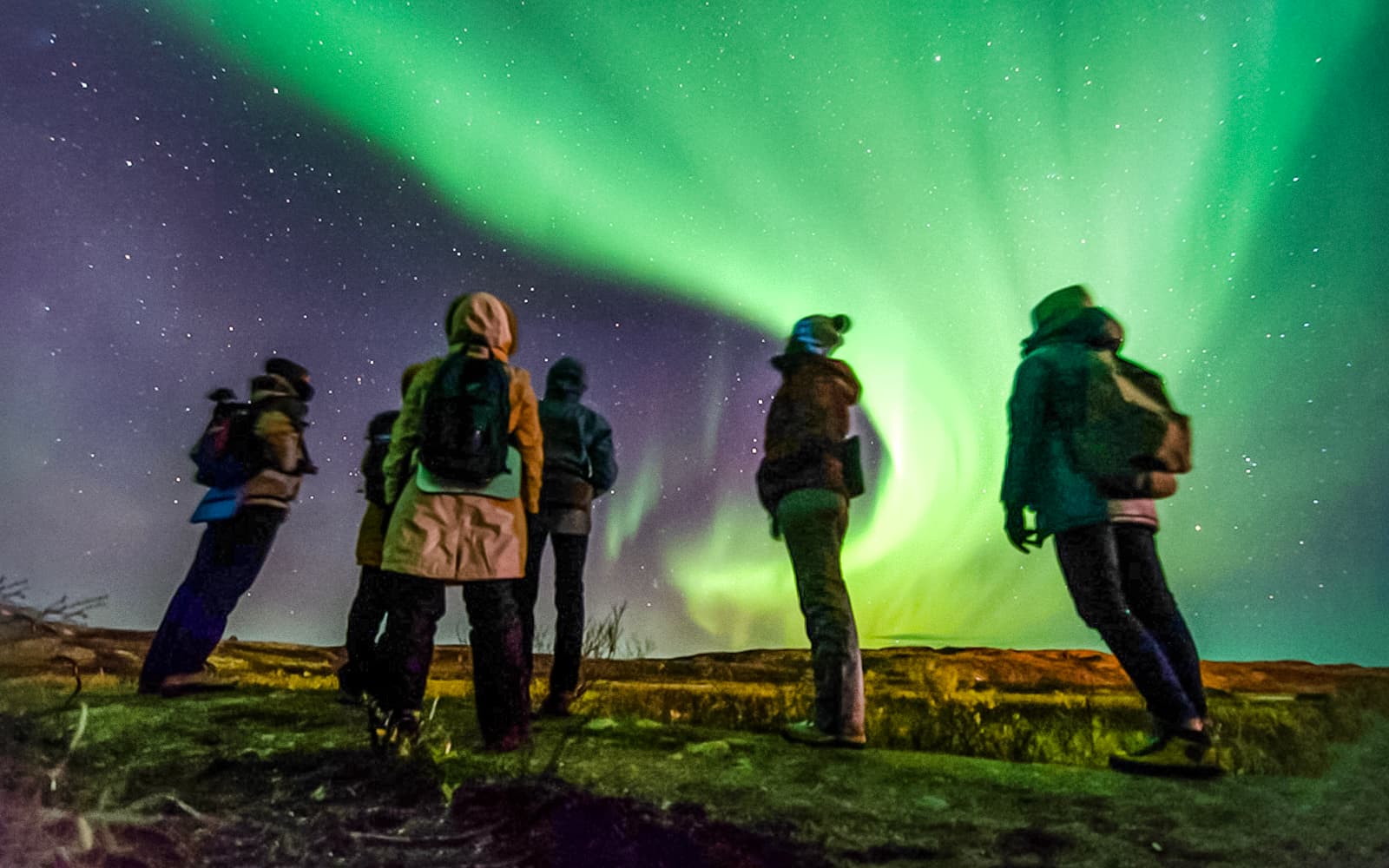 Reykjavik: Northern Lights Small Group Tour