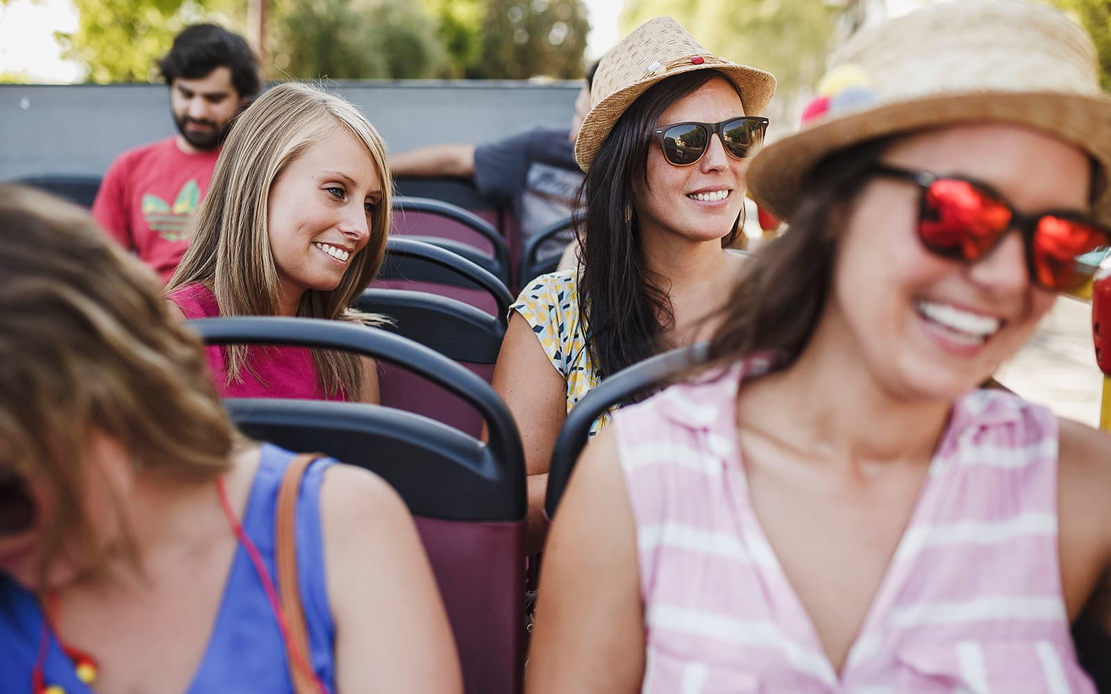 City Sightseeing: Reykjavik Hop-on Hop-off Bus Tour tickets in Reykjavik - Activities | TickYourList