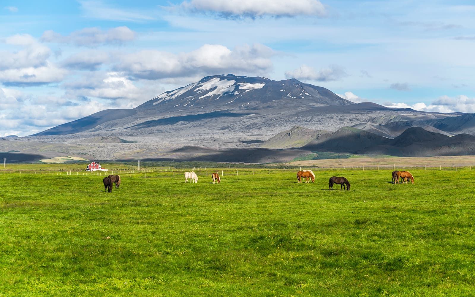 South Coast & Northern Lights Tour: Southern Iceland Lava Fields, Glaciers & Beaches tickets in Reykjavik - Activities | TickYourList
