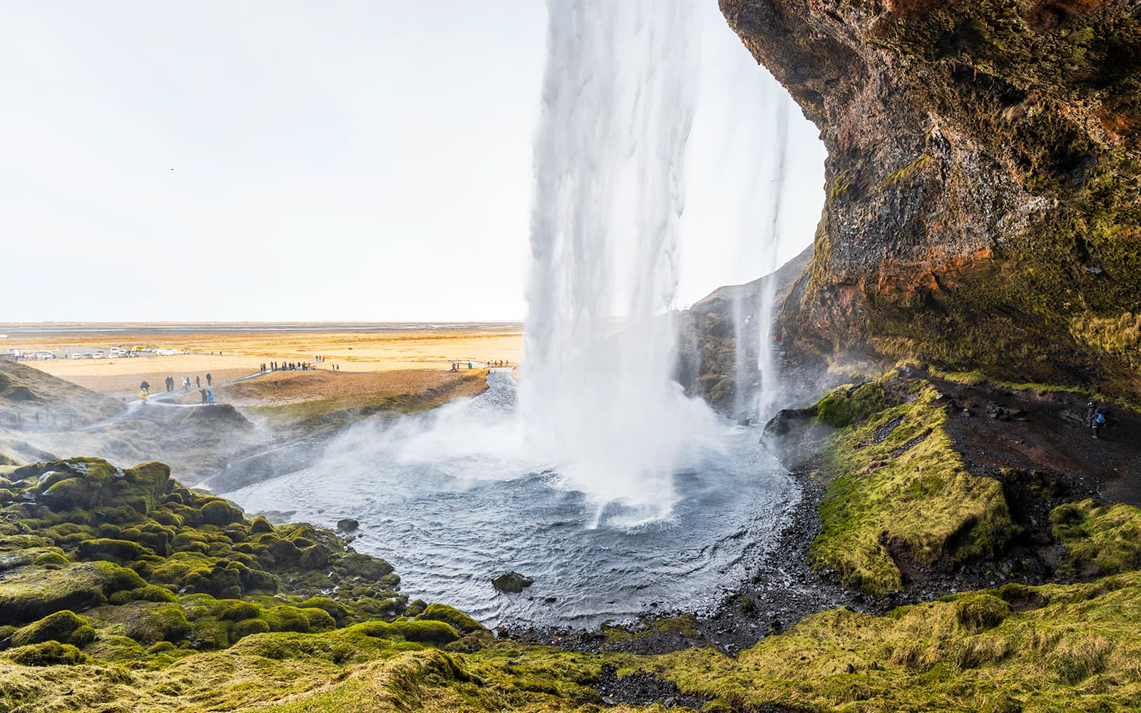 South Coast & Northern Lights Tour: Southern Iceland Lava Fields, Glaciers & Beaches tickets in Reykjavik - Features | TickYourList