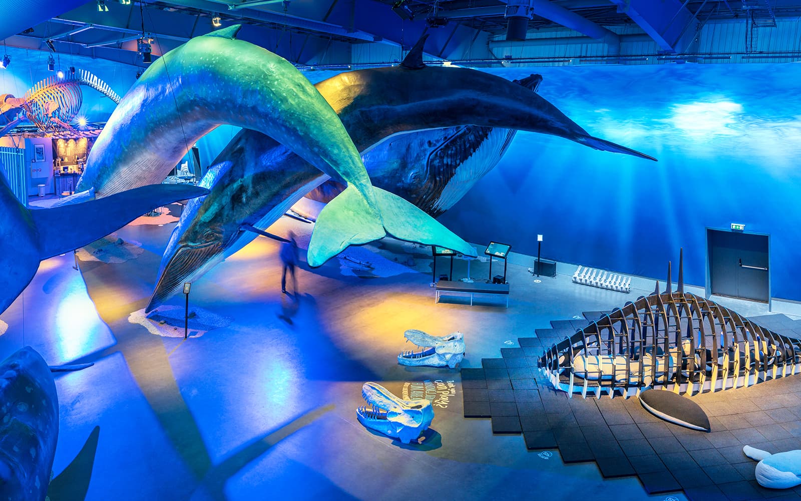 Tickets to Whales of Iceland Museum