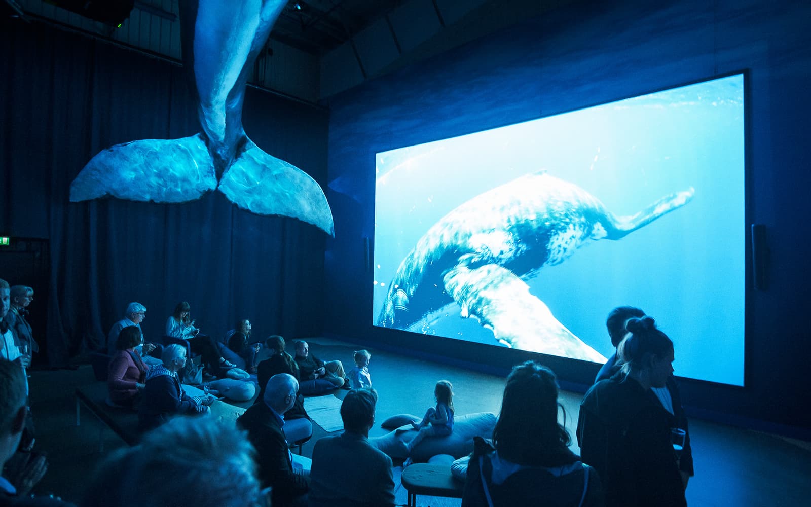 Tickets to Whales of Iceland Museum in Reykjavik - Attractions | TickYourList