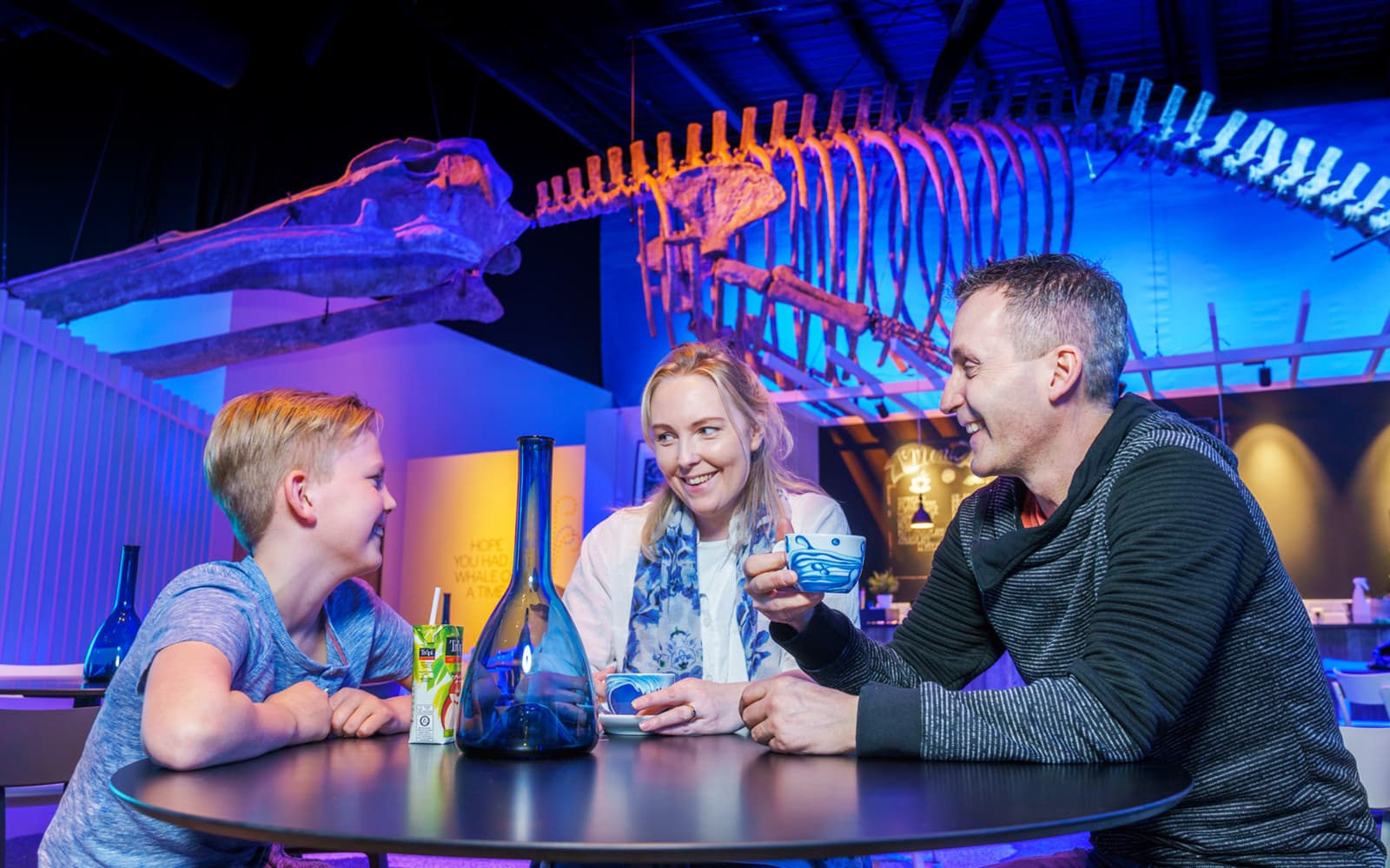 Tickets to Whales of Iceland Museum in Reykjavik - Highlights | TickYourList