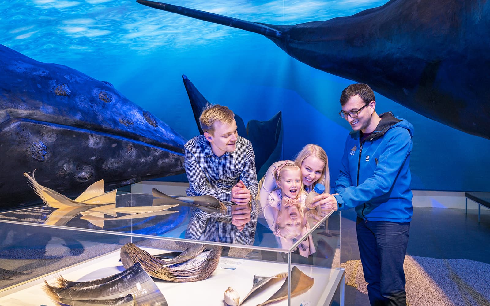 Tickets to Whales of Iceland Museum in Reykjavik - Features | TickYourList