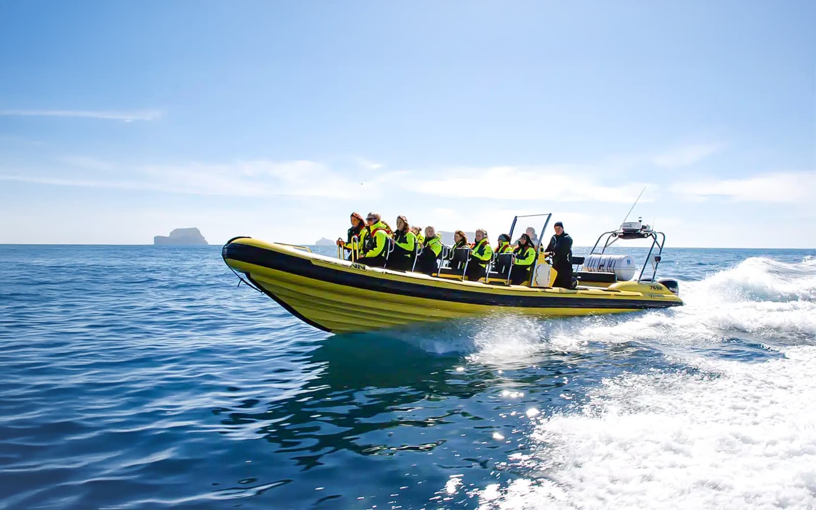 From Reykjavik: Whale Watching on RIB Speedboat