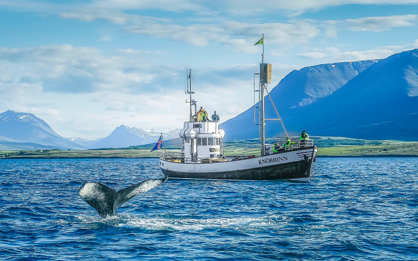 From Árskógssandur: Whale Watching Boat Tour in Eyjafjörður