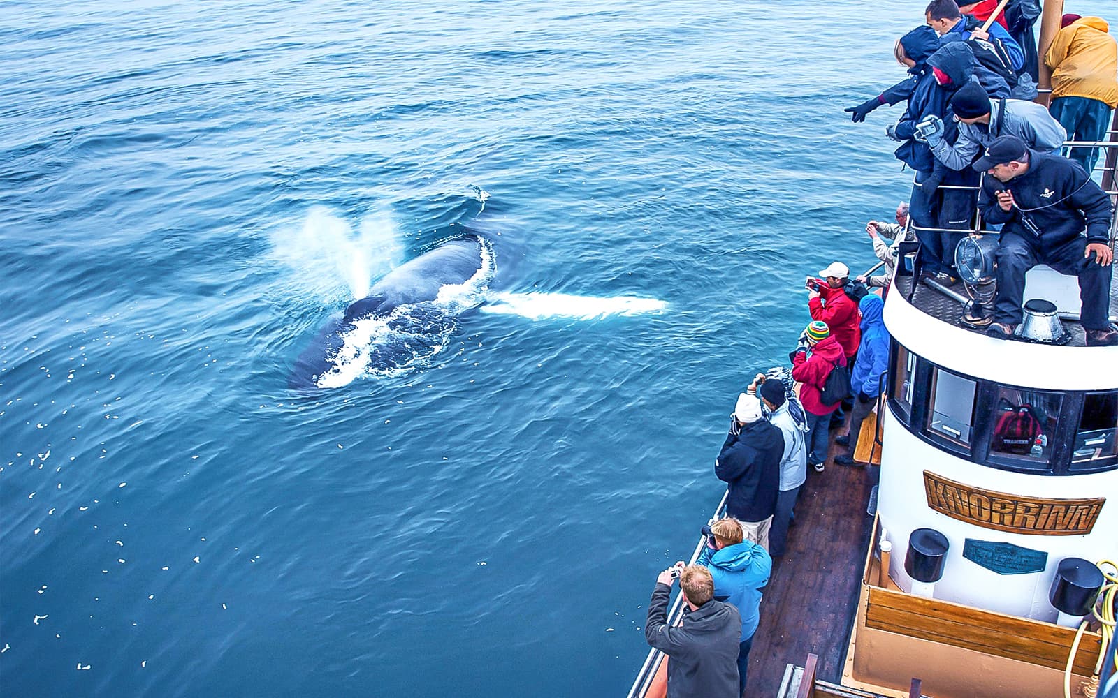 From Árskógssandur: Whale Watching Boat Tour in Eyjafjörður tickets in Akureyri - Features | TickYourList