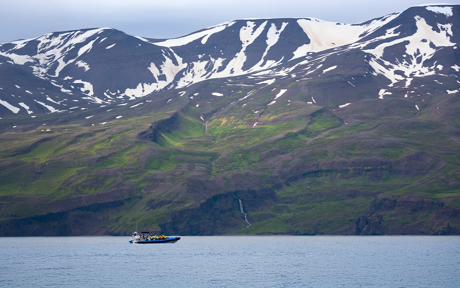 From Husavik: Whale Watching on RIB Speedboat tickets in Reykjavik - Features | TickYourList