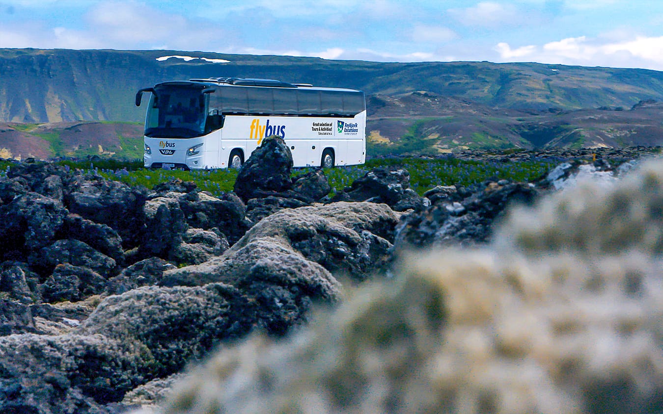 Bus Transfer: Keflavik International Airport (KEF) & Reykjavik BSI Terminal to/from Blue Lagoon tickets in Reykjavik - Highlights | TickYourList