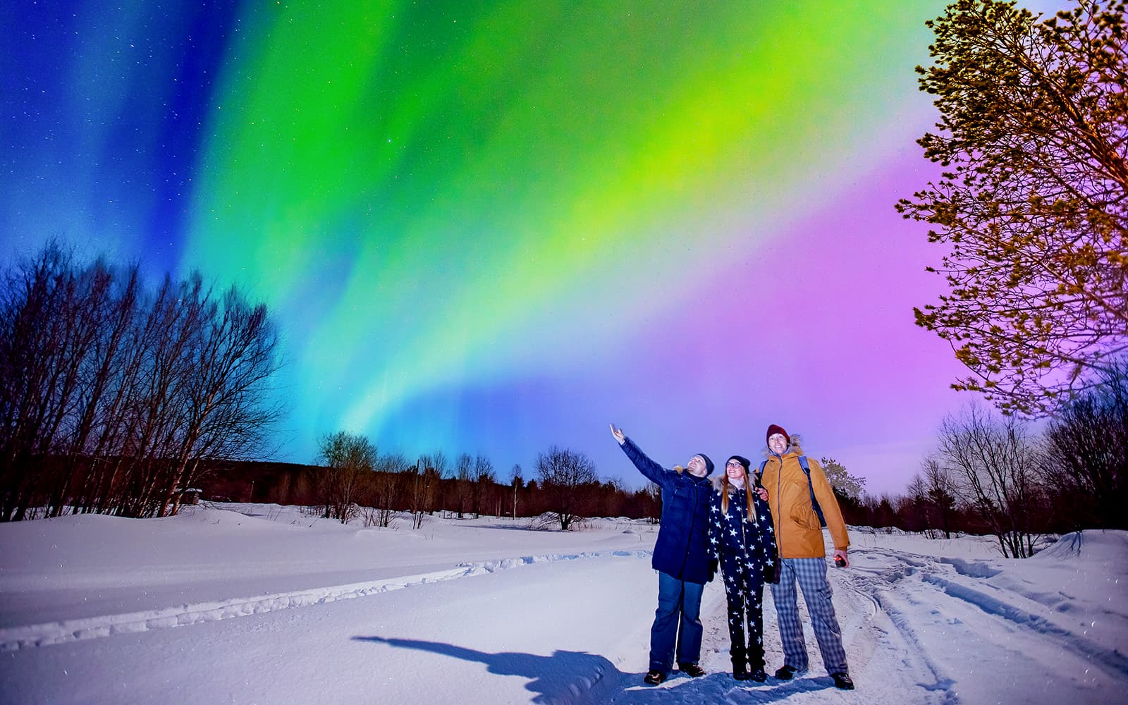 Reykjavik: Northern Lights & Golden Circle Full Day Trip tickets in Reykjavik - Activities | TickYourList