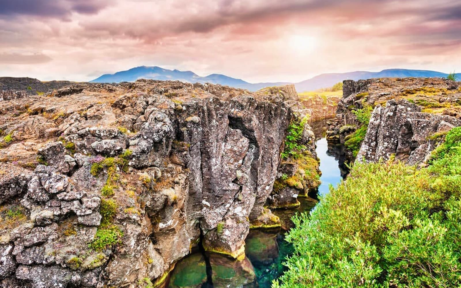 Golden Circle & Farm Visit Minibus Tour