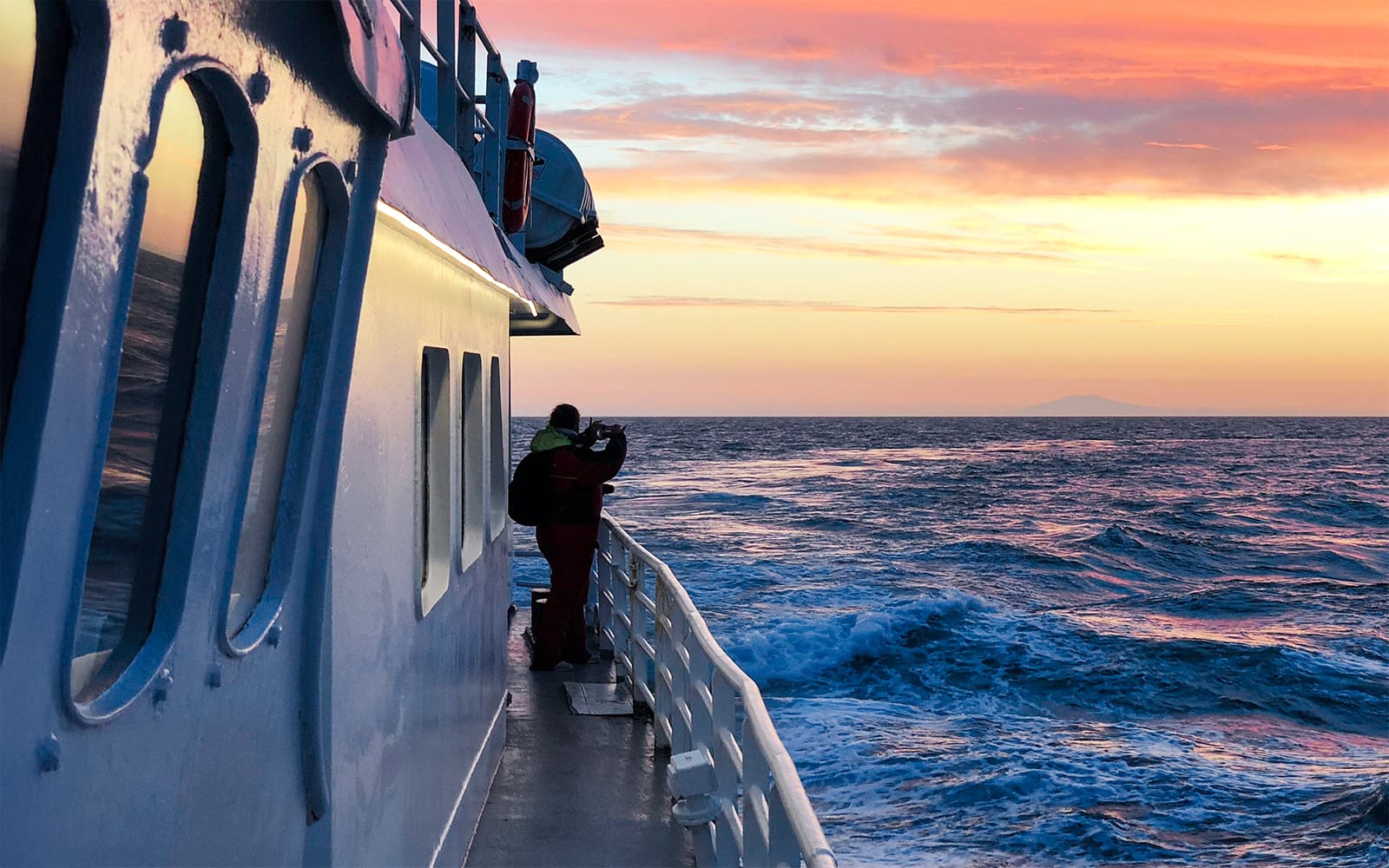 From Reykjavik: Midnight Sun Whale Watching Tour