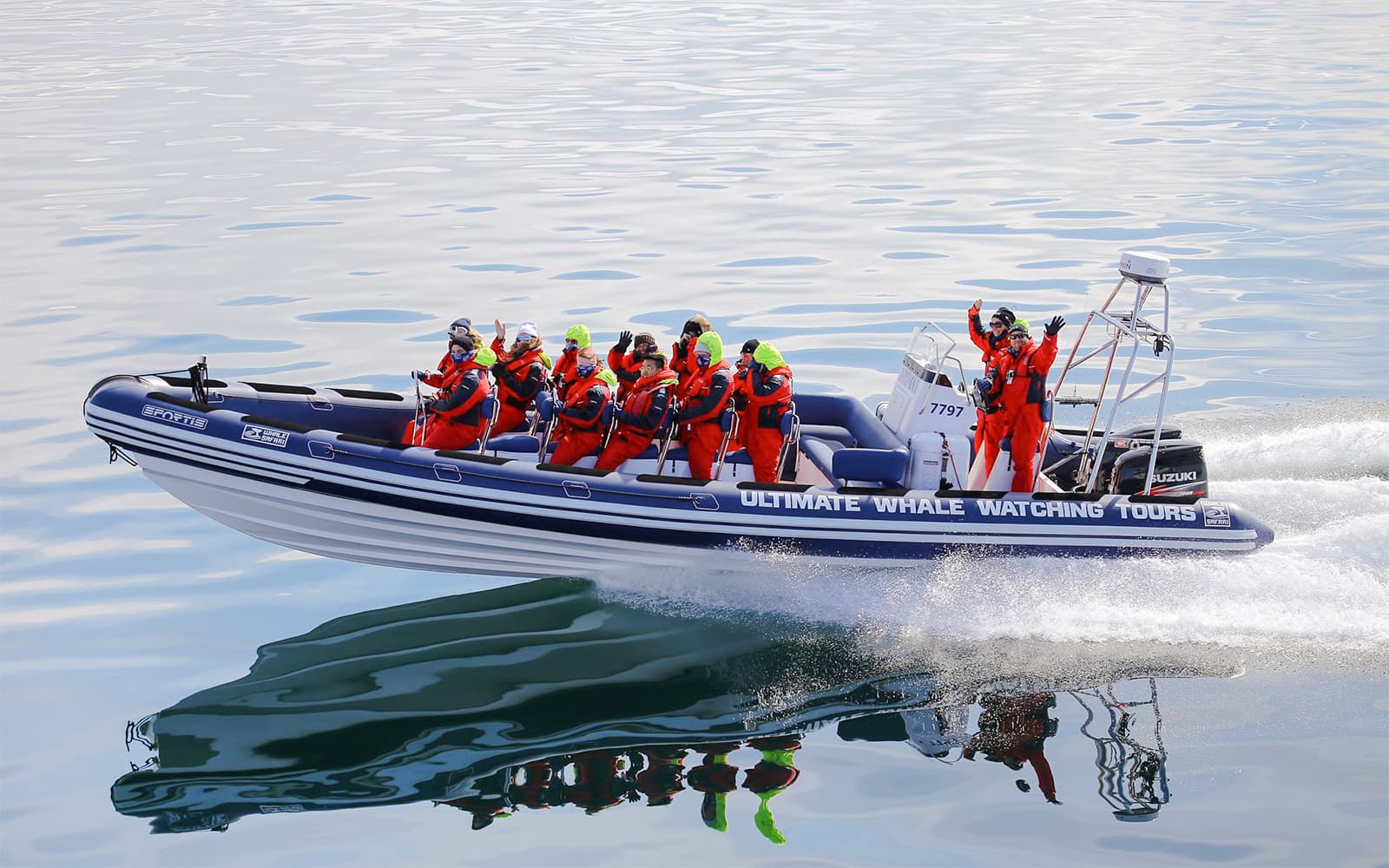 From Reykjavik: 2-Hour Whale and Puffin Watching RIB Boat Tour tickets in Reykjavik - Activities | TickYourList