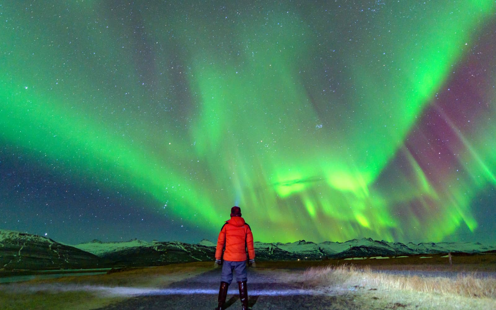 Iceland Super Combo: Northern Lights + Golden Circle + Blue Lagoon Tour