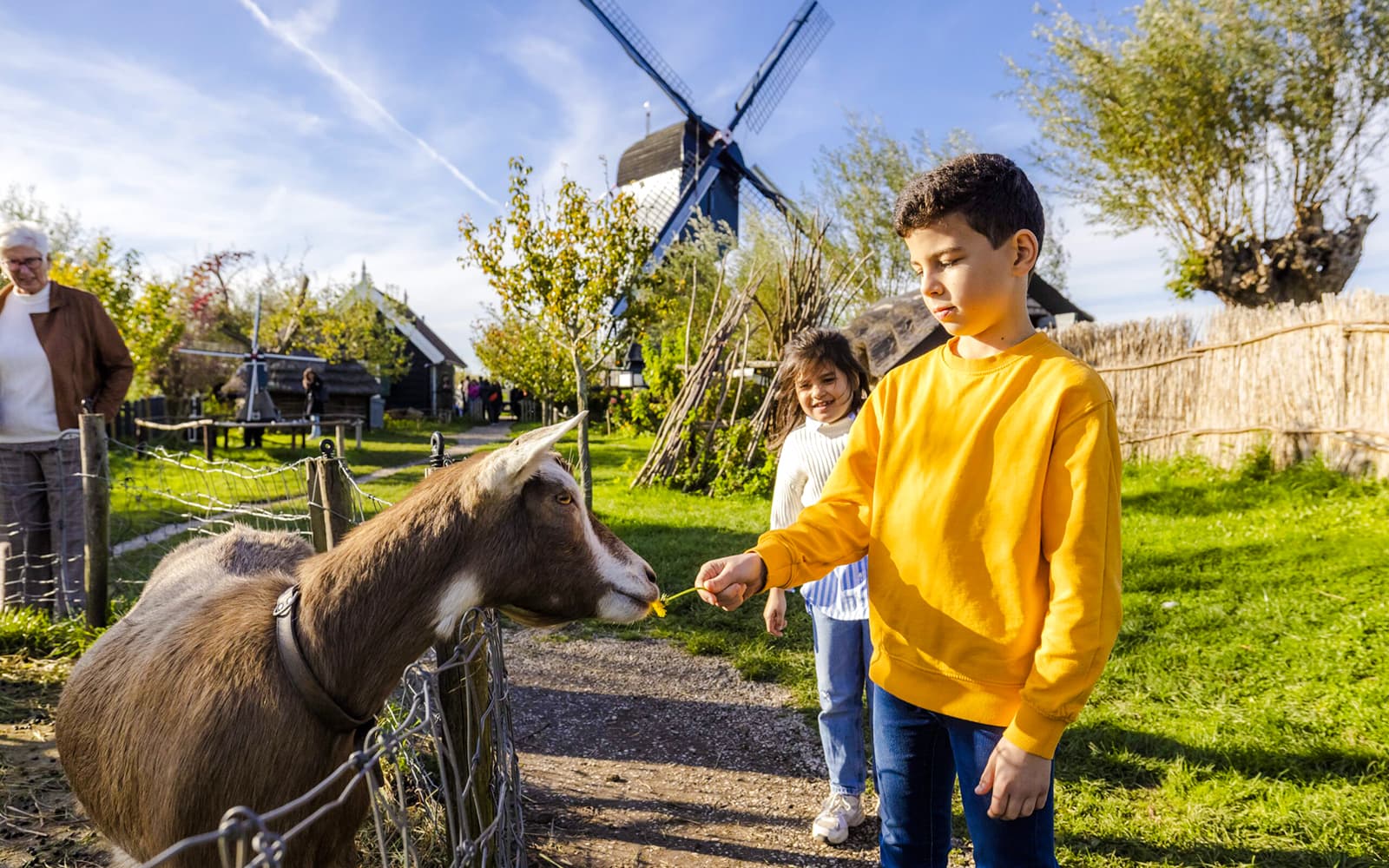 Kinderdijk UNESCO World Heritage Entry Tickets in Rotterdam - Highlights | TickYourList