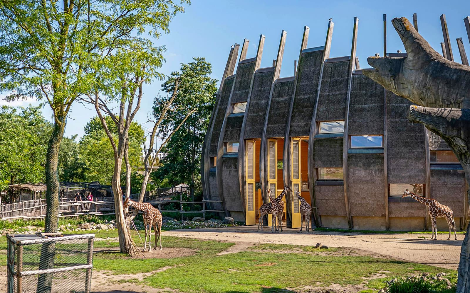 Rotterdam Zoo Tickets