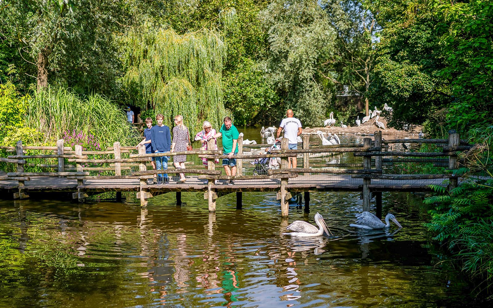 Rotterdam Zoo Tickets in Rotterdam - Attractions | TickYourList