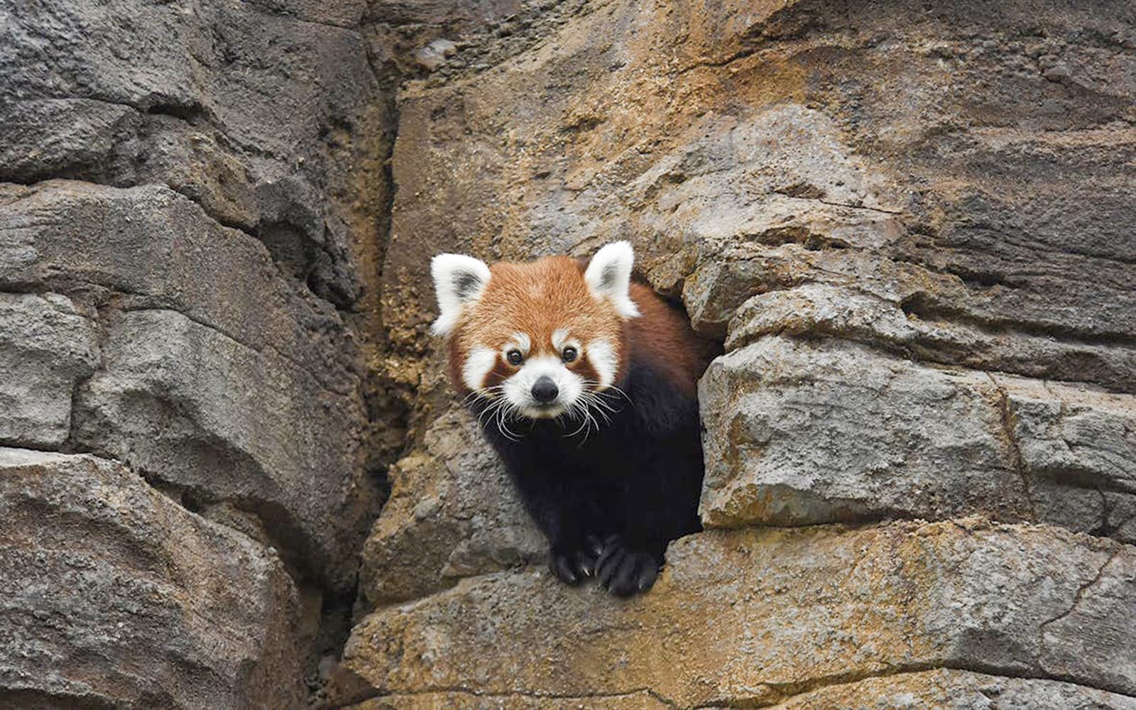 Rotterdam Zoo Tickets in Rotterdam - Features | TickYourList