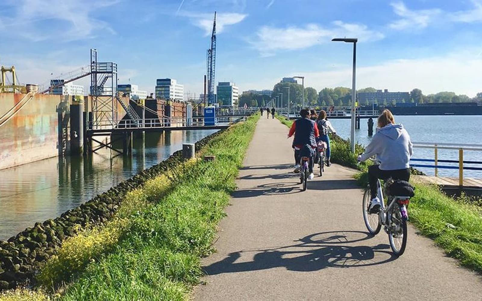 Rotterdam Highlights: Bike tour tickets in Rotterdam - Book Now | TickYourList