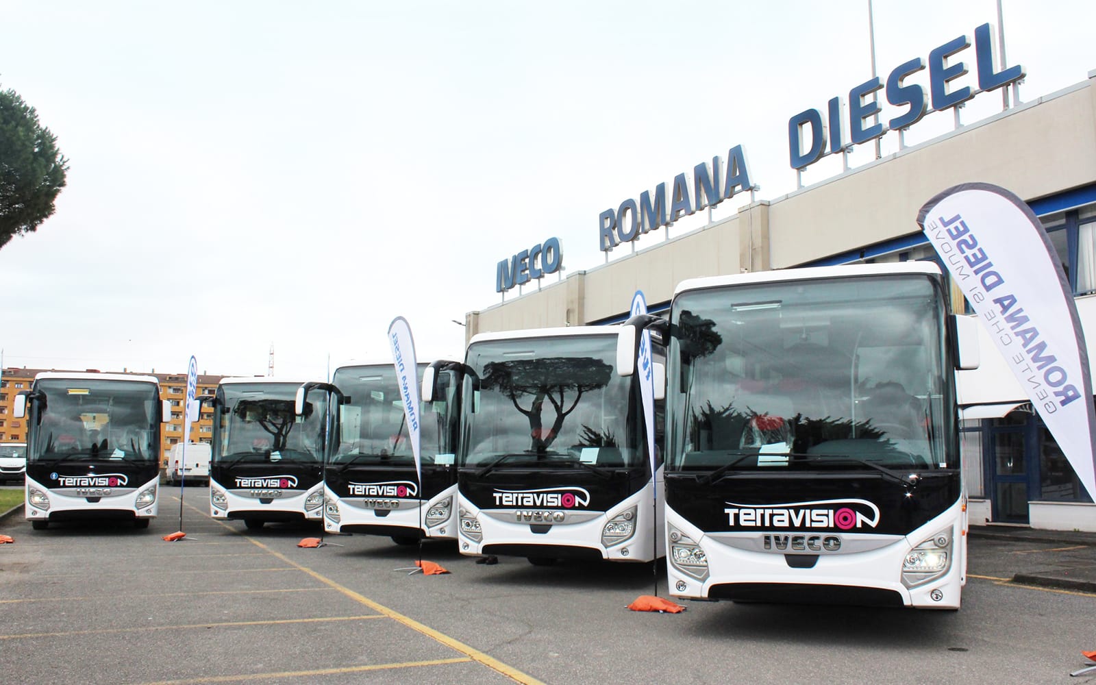 Bus Transfers: Rome Ciampino Airport to/from Rome City Center by Terravision tickets in Rome - Activities | TickYourList
