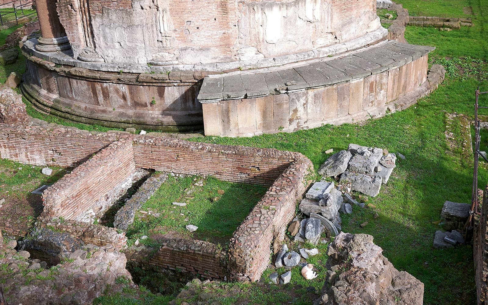 Archaeological Area Largo Argentina Tickets in Rome - Full Experience | TickYourList