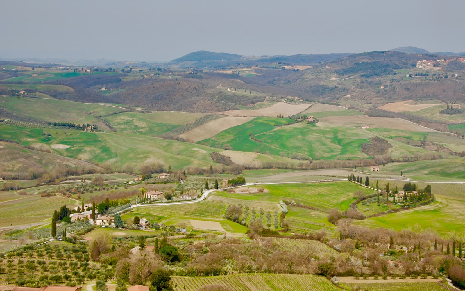 From Rome: Tuscany Day Trip with Lunch and Wine Tasting