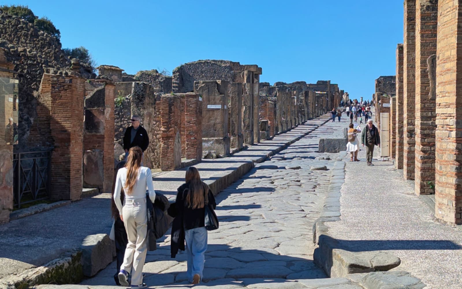From Rome: High-Speed Pompeii Express Train Tickets in Rome - Highlights | TickYourList